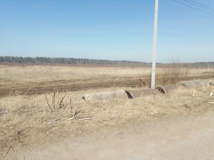 А мы сегодня забили