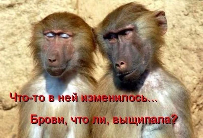 Вы дома марафет наводите или лохматой быть креативно?