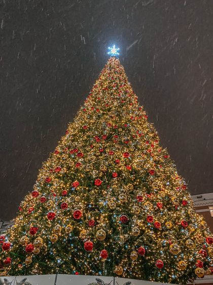 Нагулялись ☺️🎄