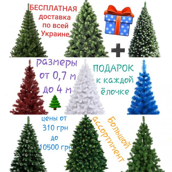 Елки/сосны Украина. БЕСПЛАТНАЯ доставка + ПОДАРОК