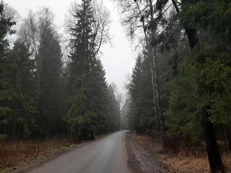 Досып после прогулки