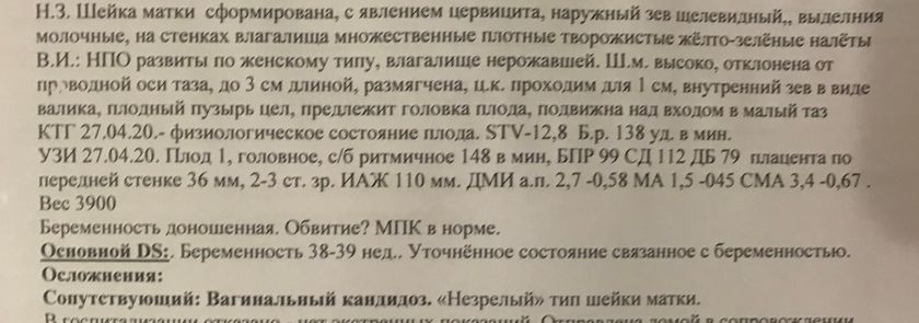 Сколько проходили с такой шейкой ?