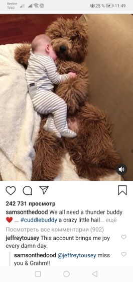 Что это за порода?