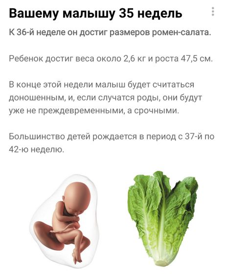 Последняя неделя 8го месяца 🤗