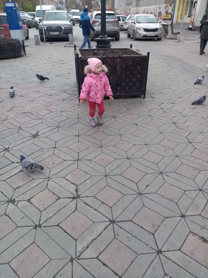 Настя и ёжики.