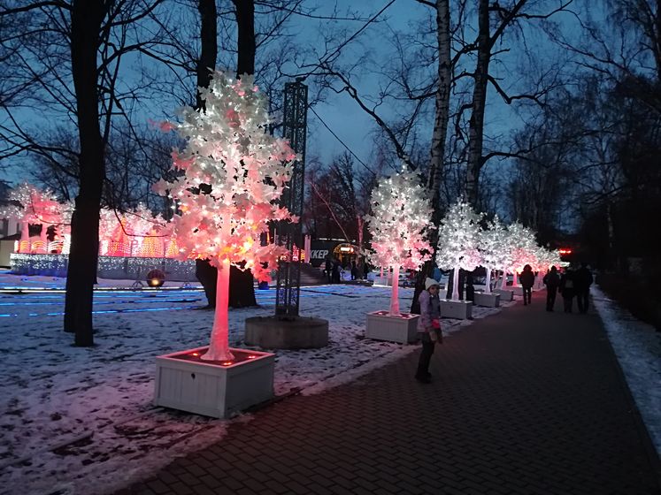 Еще немного света в эту скучную зиму.