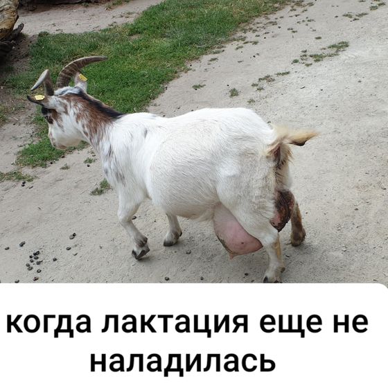 Это мы сегодня в