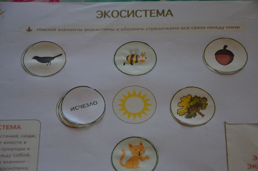 Экология. Для детей 8 и 5 лет. ТЗ.