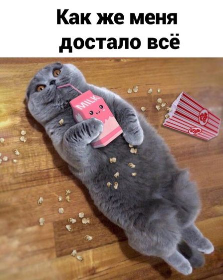 Фотография 2020-10-19 17:16:20