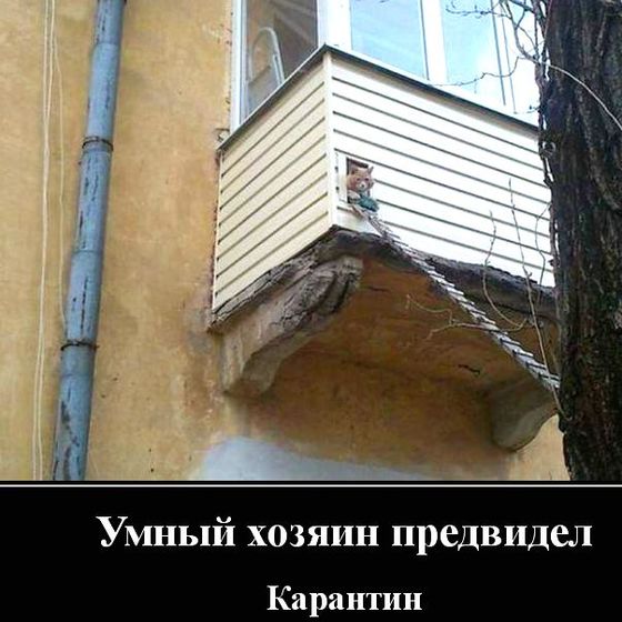 Классная идея!