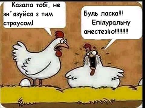 🤣🤣🤣
