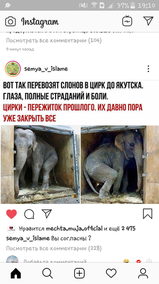 нафиг нам этот ЦИРК!!?