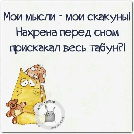 Сон?