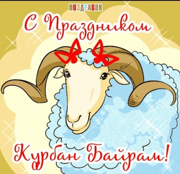 С праздником всех мусульман?❤️????