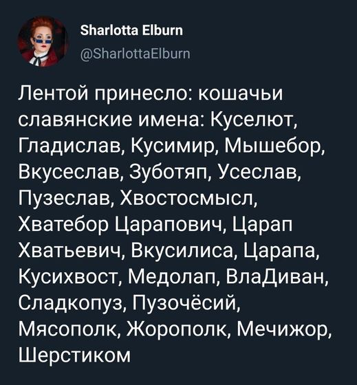 Кошачьи клички)
