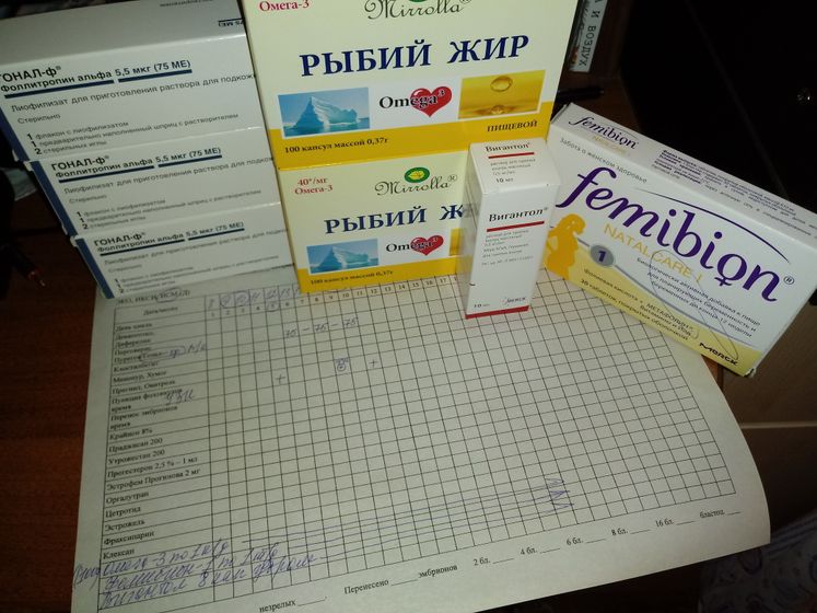Вступаю в первый протокол ИИ (платно)