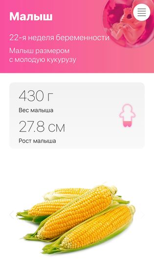 Нам 22 недели ?начало шестого месяца