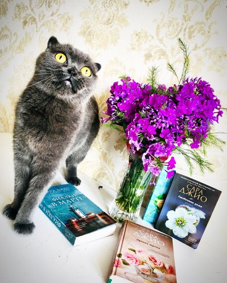 Про Книги. Читаете ли Вы? Лёгкое чтиво.