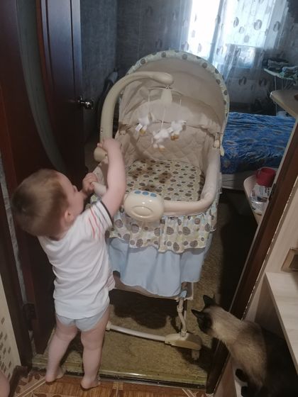 Первая покупочка) даже не