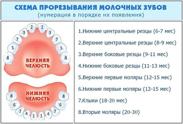 Девочки!!!!у