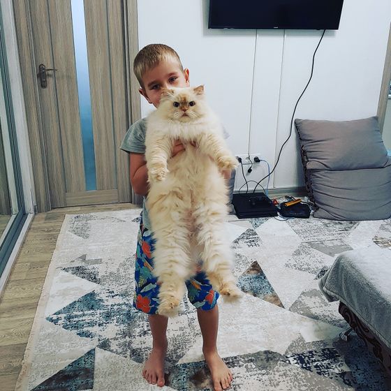 Каждому, по факту, рядом