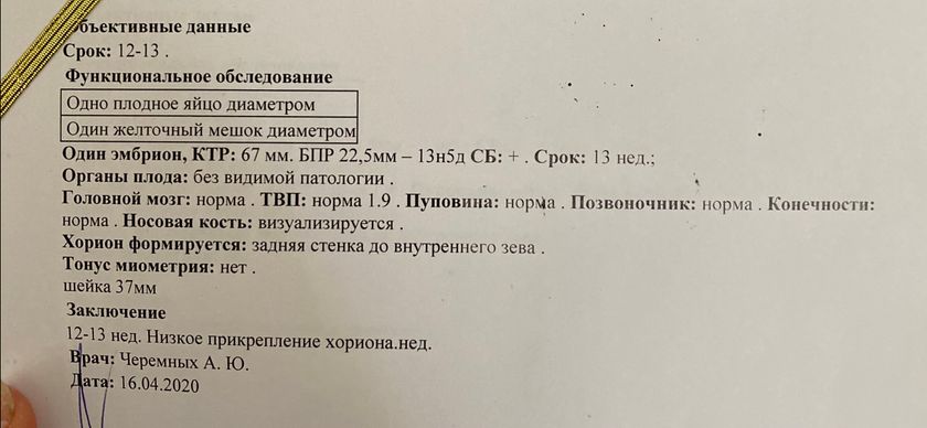 Девочки!
