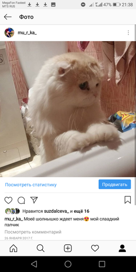 Отдам в добрые руки