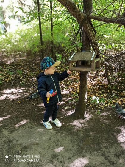 Гуляем в парке