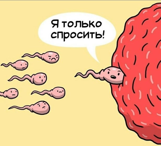 Пол ребёнка