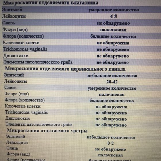 Уже год