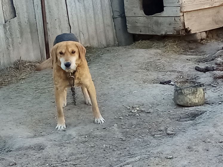 Всем, кто меня потерял😁