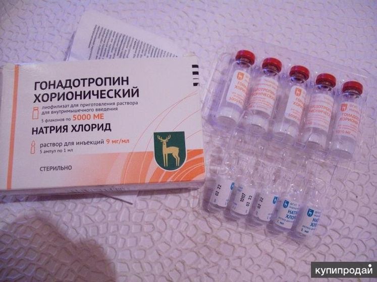 Девушки из Смоленска или