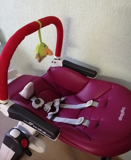 Стул для кормления Peg Perego Siesta