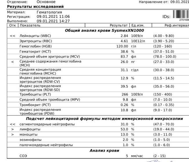 Лейкоциты