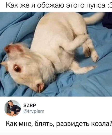 Еле увидела "не козла