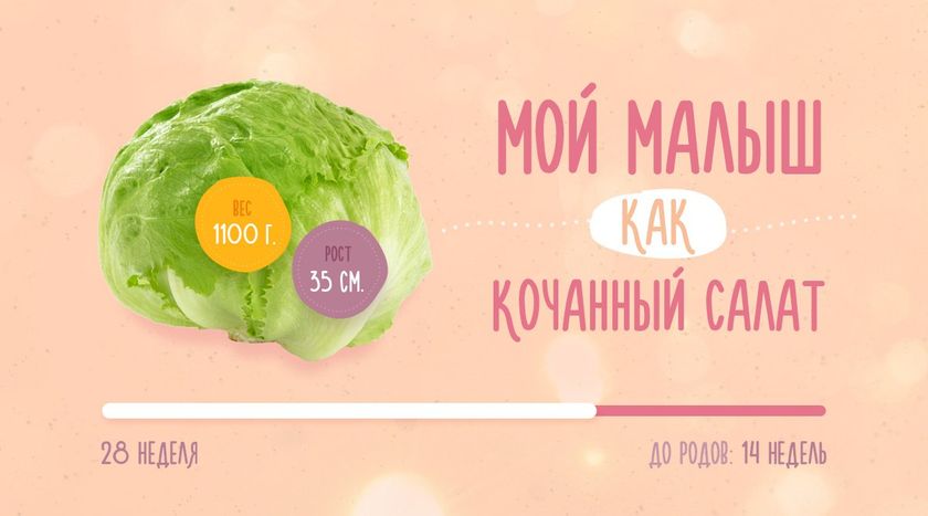 Третий триместр ?