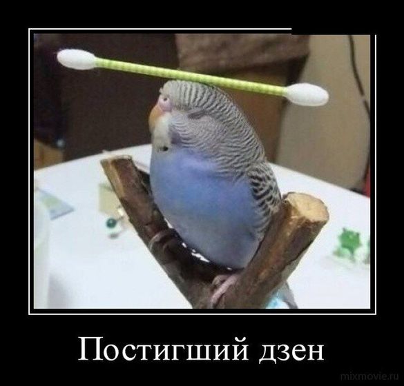 Ловлю дзен от рисования на природе, а вы от чего?