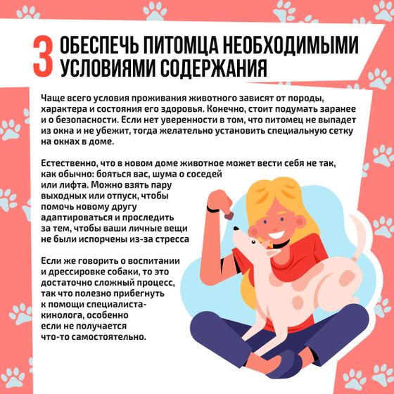 Памятка - как взять животное из приюта!