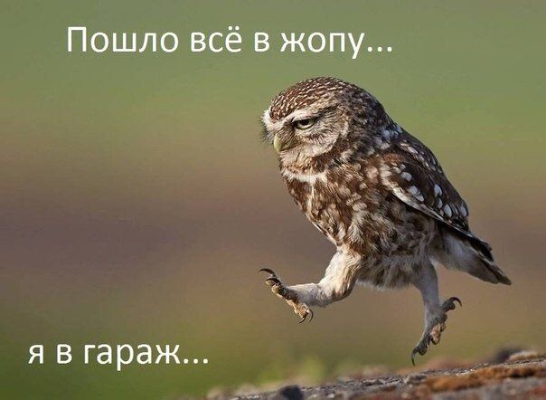 Держать обиду - это нормально, пока не попросит прощения?