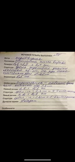 Через сколько овуляция после положительного теста ?