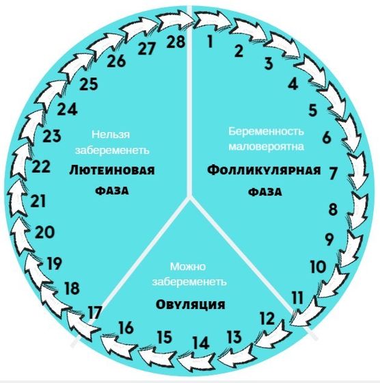 Как считать дпо? Поздняя О и М у кого как?