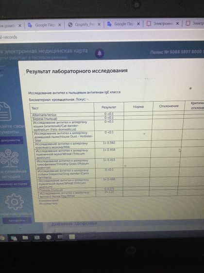 Аллергики