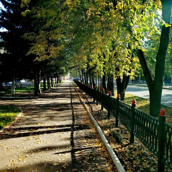 Люблю осень...🍃🍂🍁