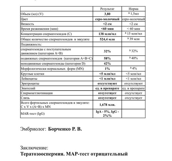Спермограмма (2)