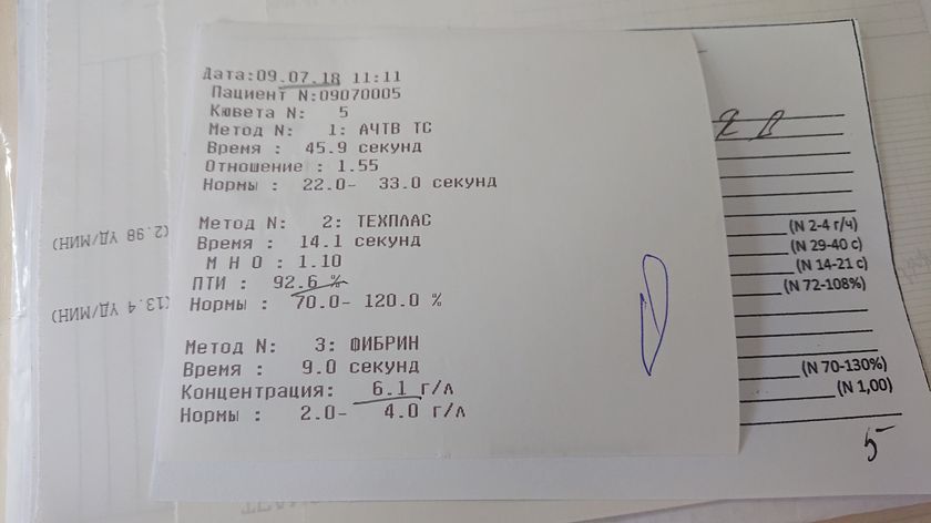 Наши 33 недели ♥