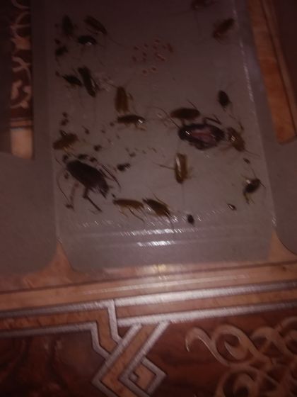 Девочки подруга скинула фото,у