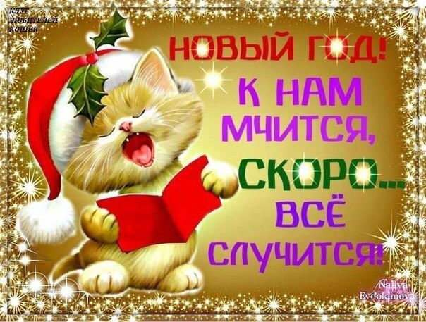 Дорогие бэбирушечки?