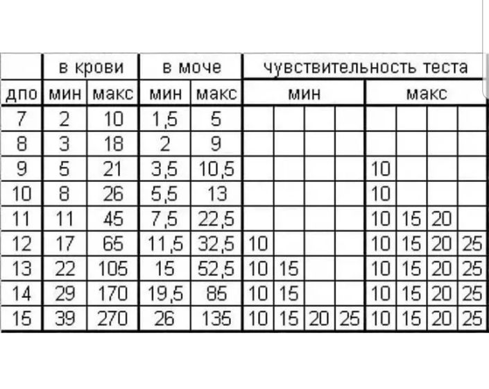 Хгч в крови и моче