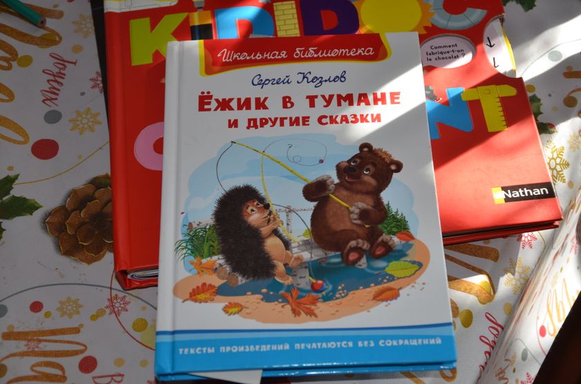 Наши занятия русским( на русском).