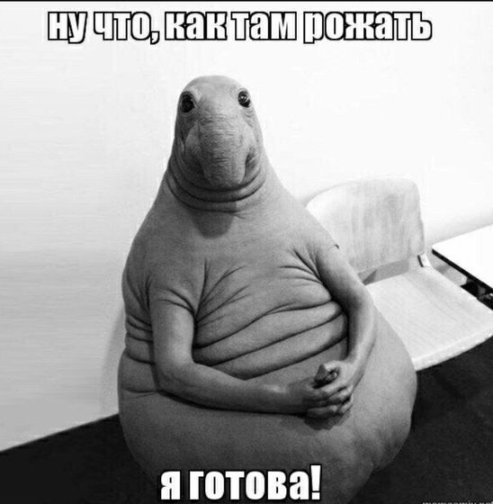 ПДР !
